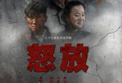 怒放电视剧演员表,实力派演员齐聚，演绎激情燃烧的岁月