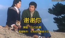 血凝电视剧,复仇与救赎的生死较量