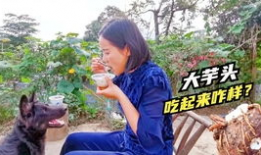 吃瓜爆料兔圈大神视频,吃瓜爆料背后的真相与内幕