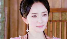 电视剧女星,揭秘电视剧女星背后的辉煌人生