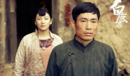 《白鹿原》电视剧,历史变迁下的家族传奇